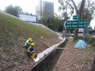 Vegetated Slope Stabilization Works