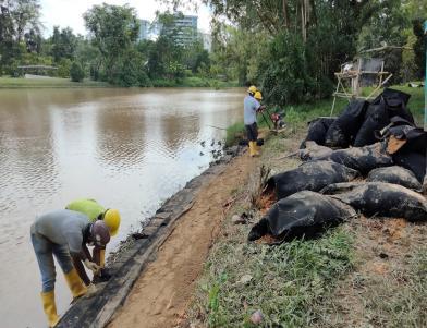 Shoreline Protection 3